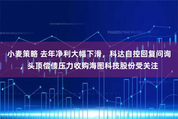 小麦策略 去年净利大幅下滑，科达自控回复问询，头顶偿债压力收购海图科技股份受关注