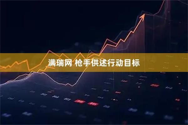 满瑞网 枪手供述行动目标