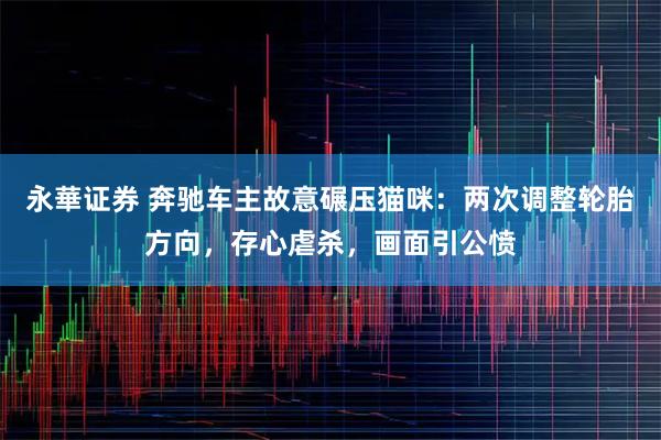 永華证券 奔驰车主故意碾压猫咪：两次调整轮胎方向，存心虐杀，画面引公愤