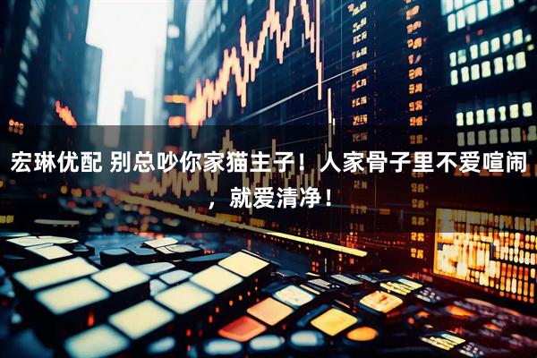 宏琳优配 别总吵你家猫主子！人家骨子里不爱喧闹，就爱清净！